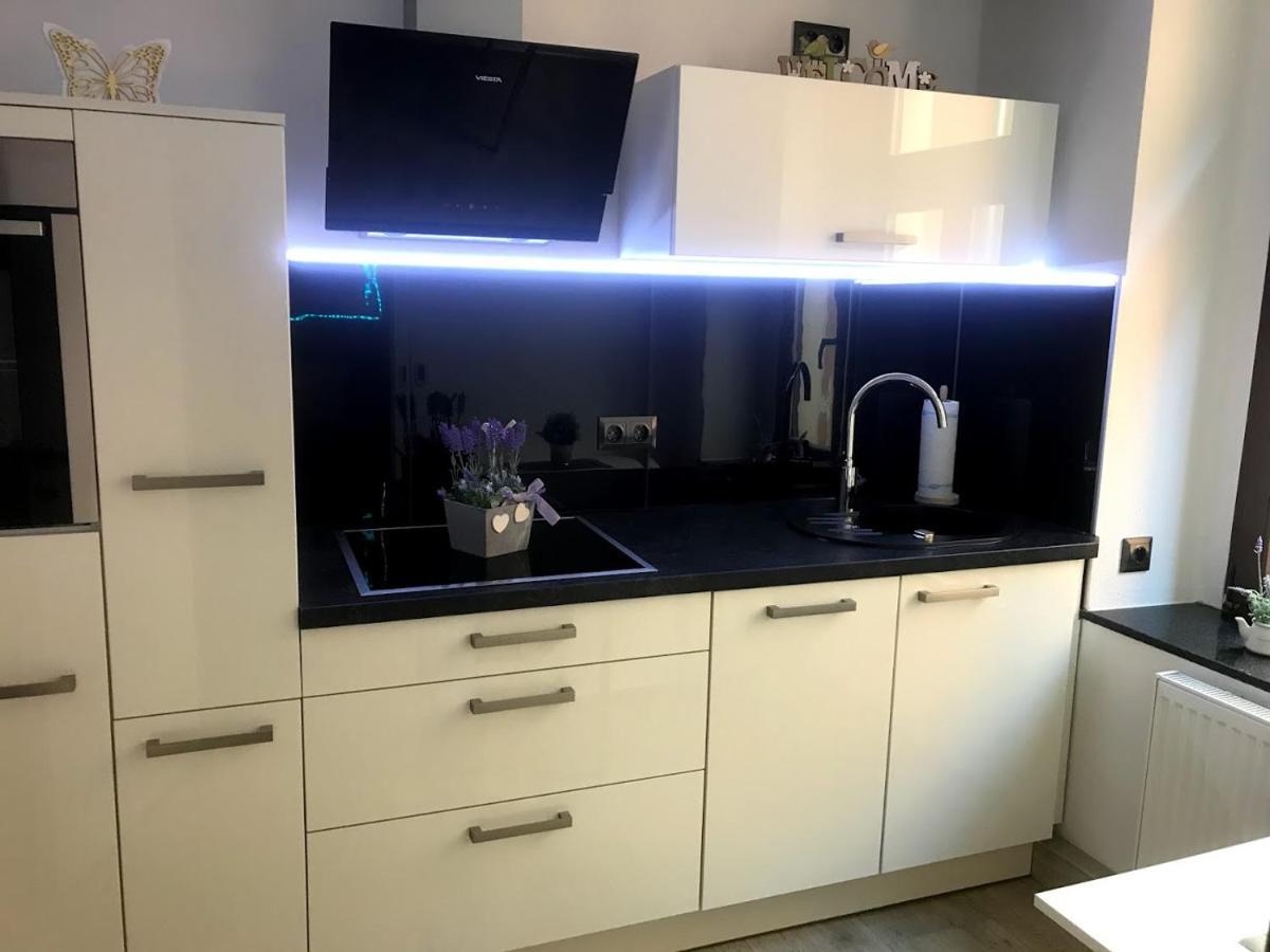 Budget Apartments Salzhausblick: Central City View Zittau Room photo