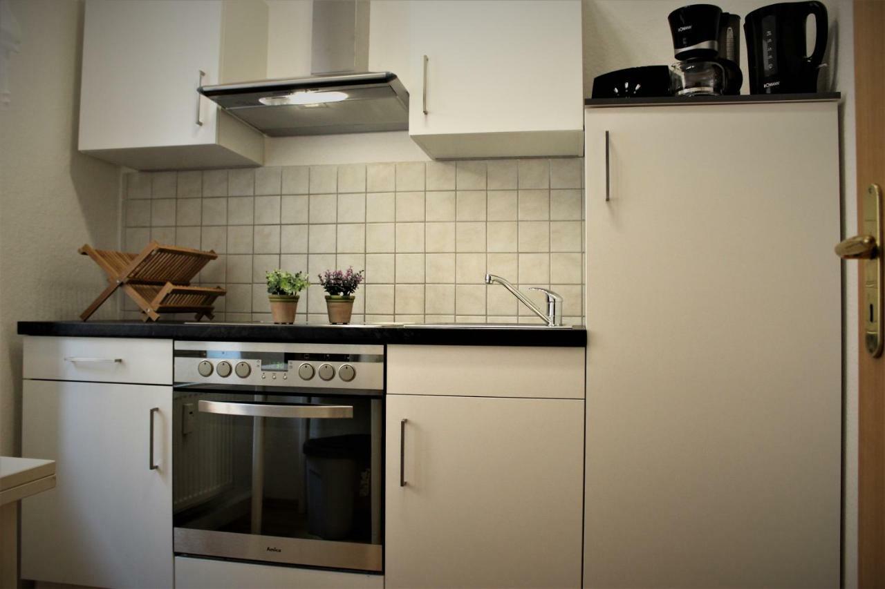 Budget Apartments Salzhausblick: Central City View Zittau Exterior photo